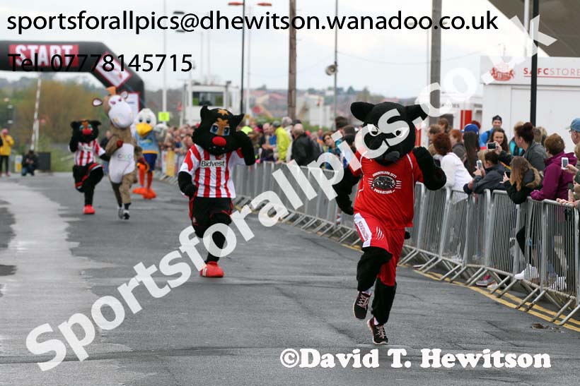 Mascots race at the Sunderand City Half Marathon and 10k. Photo: David T. Hewitson/Sports for All Pics